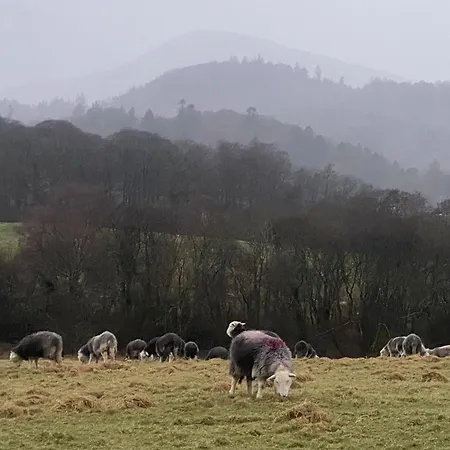 Bed & Breakfast Crow Park Keswick (Cumbria)