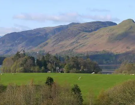 Oda ve Kahvaltı Crow Park 3*